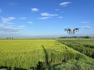 福島県郡山、山間部カメムシ防除